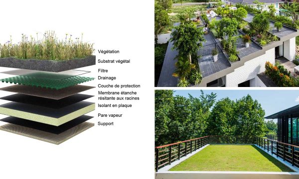 La toiture terrasse aménagée et végétalisée: un concept en vogue eco-friendly